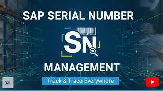 SAP SD Serial Numbers | FULL COURSE
