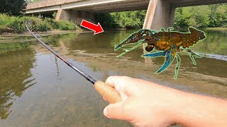 Desperate for a Bite: How Live Crawfish Can Help You Catch Picky Smallmouth Bass in Your Creek