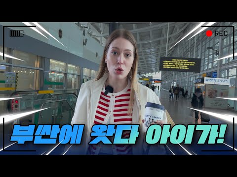 난 이거 하나 이용했을 뿐인데?🤨 나만의 여행 메이트💙