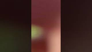 Sultan Abdulhak Peer