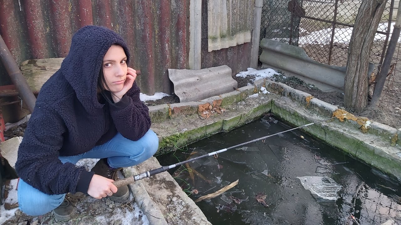 Verificam pești din iaz dacă mai trăiesc