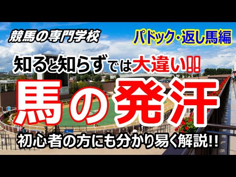 【競馬】パドック・返し馬で見られる馬の発汗をどう考えるか【競馬の専門学校】