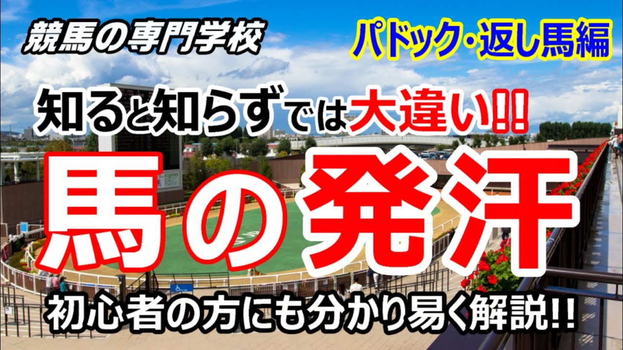 【競馬】パドック・返し馬で見られる馬の発汗をどう考えるか【競馬の専門学校】