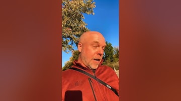 PhD application advice from a professor on a graduate admissions committee for 5 years