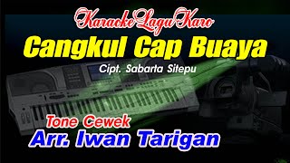 Download Lagu Karaoke Lagu Karo Cangkul Cap Buaya Tone Cewek MP3