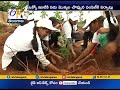 Haritha Haram: Over 1 lakh saplings to be planted at Gajwel alone