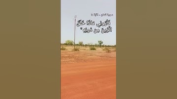 سورة لقمان - الآية 11هَٰذَا خَلْقُ اللَّهِ فَأَرُونِي مَاذَا خَلَقَ الَّذِينَ مِن دُونِهِ ۚ#القرآن