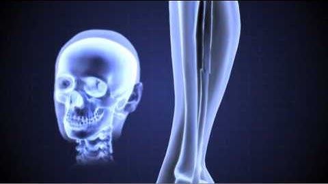 Tour of the EMS 07 - X-Rays