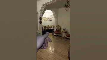 تدريب الكوكتيل على الطيران الحر الداخلي طيور الكوكتيل كروان 