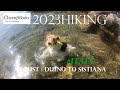 Duino to Sistiana #italy  2023 #hikingwithdogs #wirefoxterrier