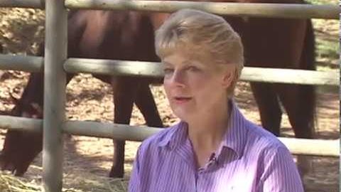 Bit of Understanding "Trailer"