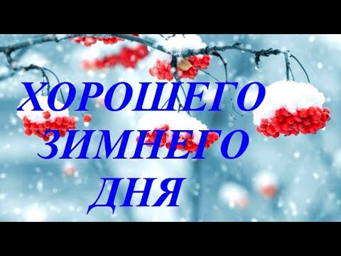 ЖЕЛАЮ ХОРОШЕГО ЗИМНЕГО ДНЯ! #видеооткрытки #анимация
