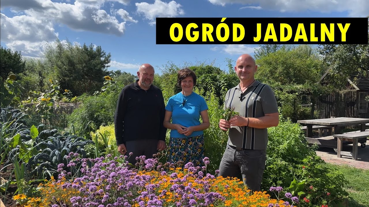 Anielskie ogrody - przepiękny, kolorowy i smaczny ogród jadalny. Ekologia i permakultura