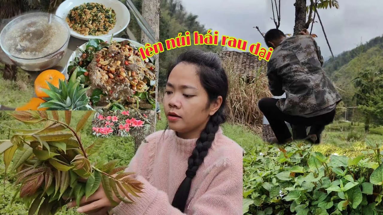 #270_Rau diếp cá trộn gỏi bò,rau rừng xào trứng,nấm mèo tươi nấu canh ...