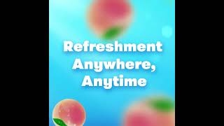 Mentos Fruit Mint 1:1 SG/MY
