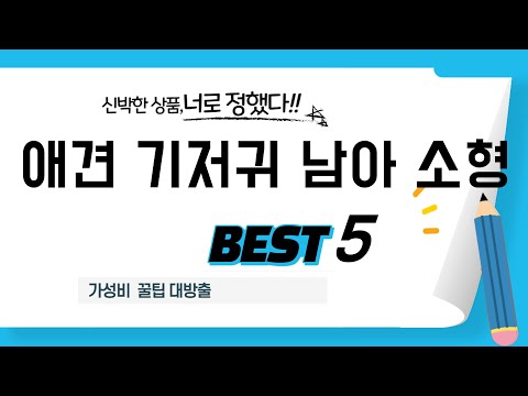 애견 기저귀 남아 소형 찾으세요? 추천 리뷰 TOP5