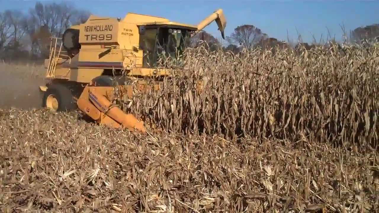 Shelling Corn 2011 YouTube