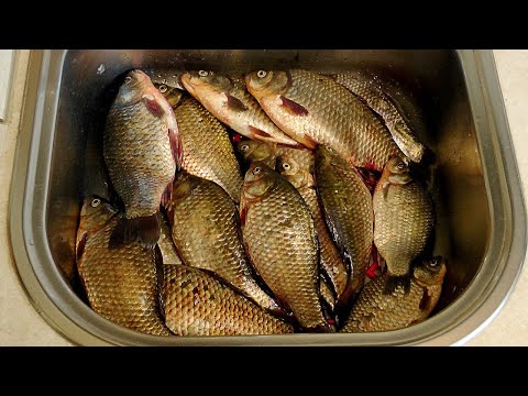Видео: Первая рыбалка этой весной на карася