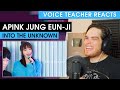 Apink Jung Eunji - Into The Unknown | Voice Teacher Reacts