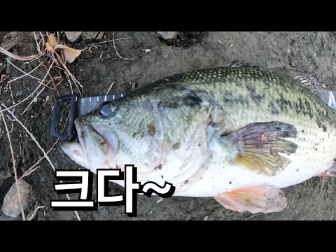 /배스낚시//알자리배스//프리랭크 <strong>bass</strong> <strong>fishing</strong>