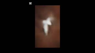 UFOs Moving in the Form of Birds in Flight!Parallel Worlds: Here is a tiny part of the existence