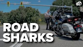 DRIVERS BEWARE! ‘Road sharks’ in Virginia issue over 13K citations, warnings in ONE week