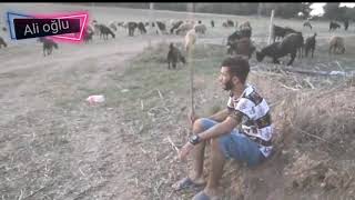 Karanlık Gece Yol Görünmüyor