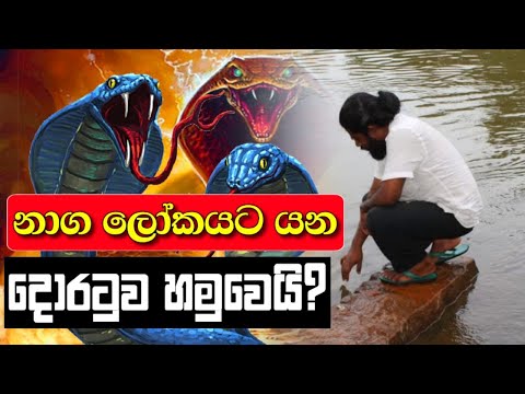 නාග ලෝකයේ දොරටුව හමුවෙයි │Naga Lokaya│ │Kelani Viharaya Temple│ - Beyond Illusion to Reality