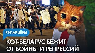 Что случилось с нашими животными за время войны? Вот как беларусы и украинцы спасают любимцев