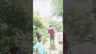 Sue vinte kunie setae vintage #dance #song