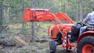 Pulling down 6 oak tree with Kubota b2650 compact tractor