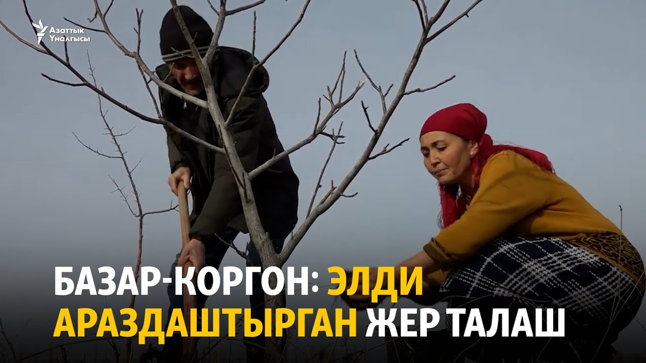 Базар-Коргон: элди араздаштырган жер талаш