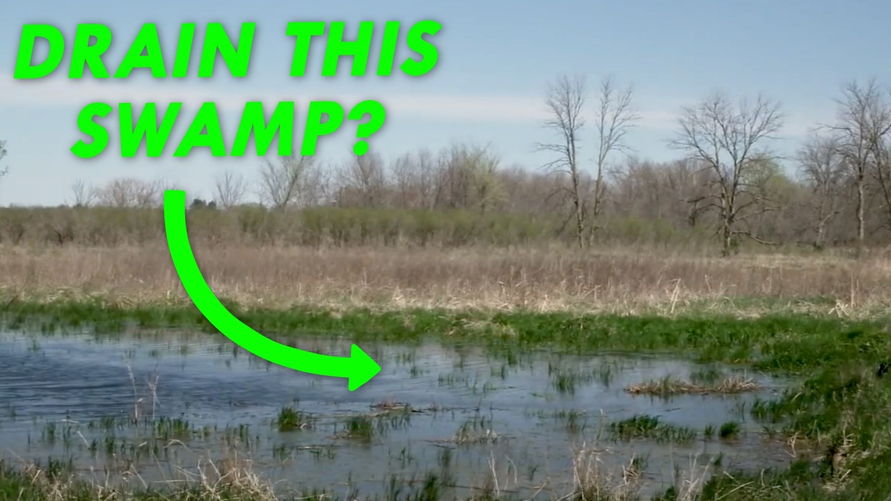 This Wetland Fight Could Go to the Supreme Court | Great Lakes Now