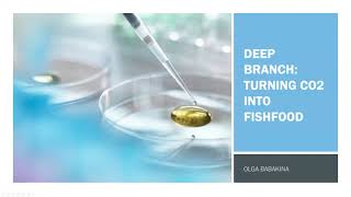 Olgas Talk About A Technology Developed By Deep Branch Turning Co2 Into Fishfood, October 2021