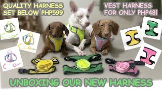 Unboxing Our New Harness Dog Harness Php48 Only And Quality Harness Set Below Php599