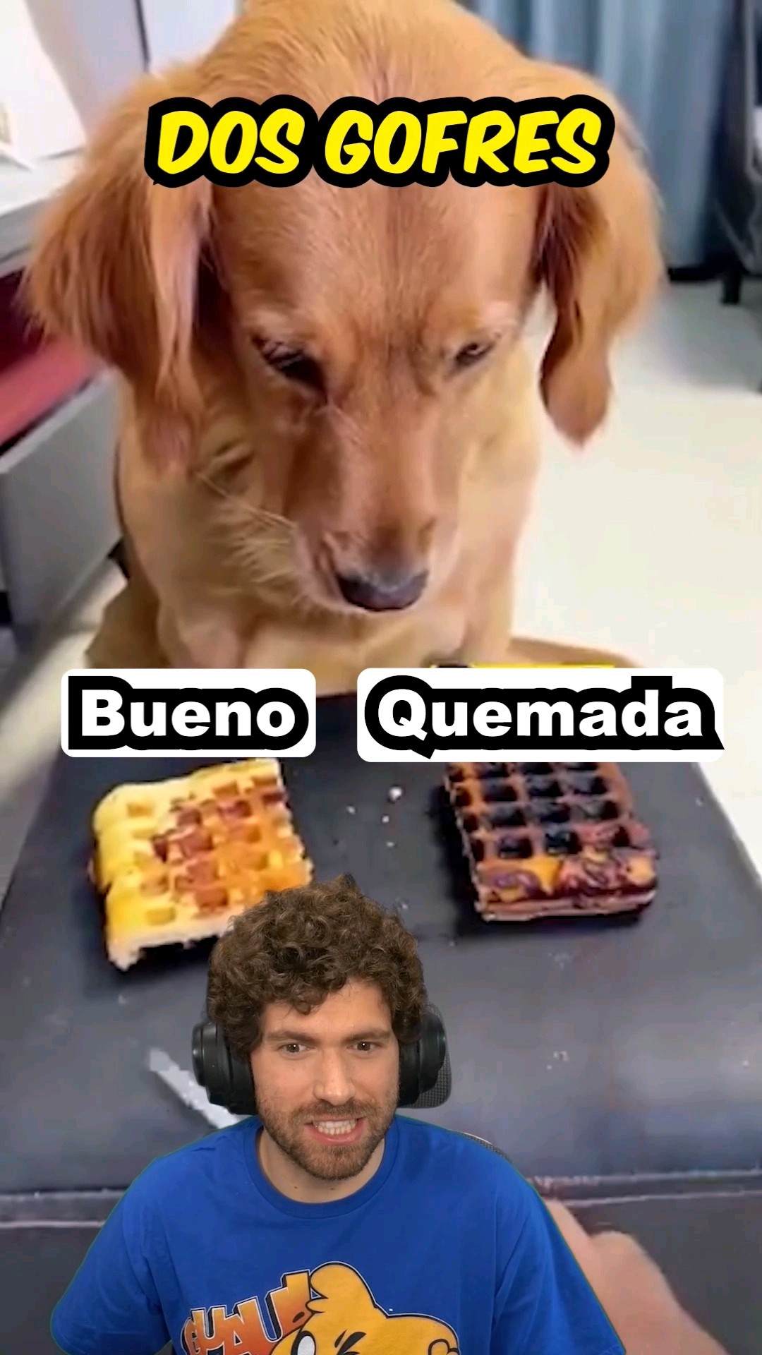 EL PERRO MÁS INTELIGENTE del MUNDO?? ?? #mikecrack