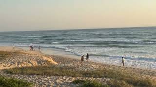 Tappa’s surf report 7/10/25 Guide