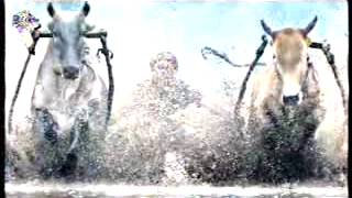 Rcti Dajrum Super 23 53