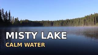 Calm Lake Water Sounds for Sleeping | Misty Pine Forest Lake | 12 Hours screenshot 2