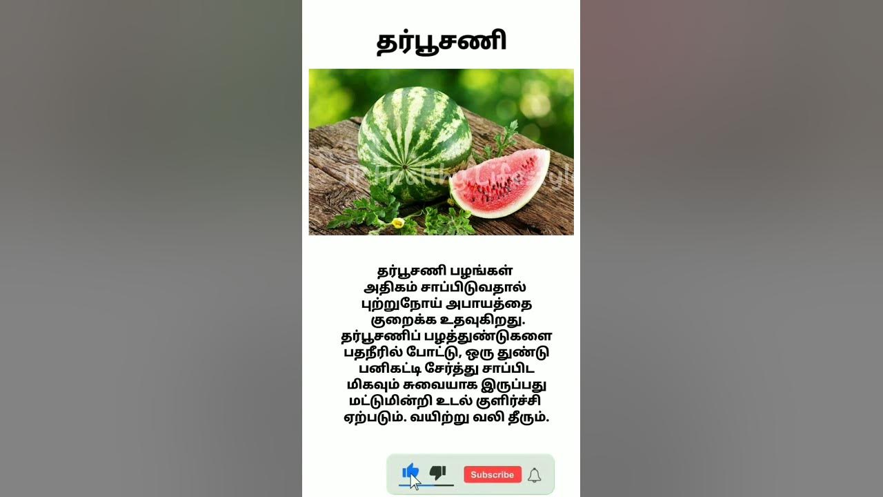 Texting Service For Businesses Benefits Of Watermelon