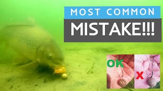 Underwater carp fishing camera / Incorrect vs Correct hair rig screenshot 4