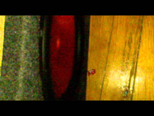 Obejrzyj 250 watt RMS amplifier experiment w YouTube Obejrzyj 250 watt RMS amplifier experiment w YouTube