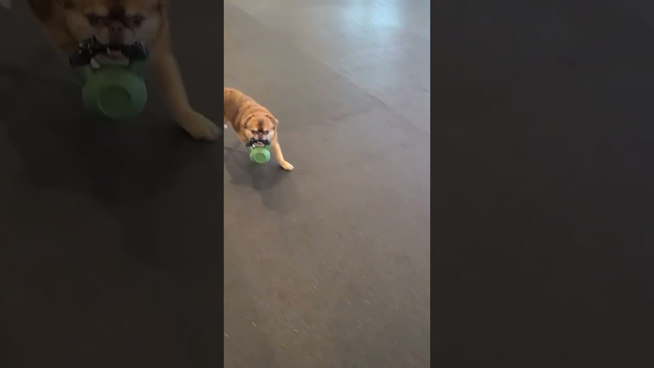 Kettlebell training in Kelowna BC at Viala Training