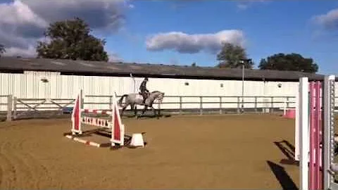 Dynasty trot