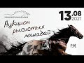 Аукцион Рысистых Лошадей в Чувашском Конном Заводе (13.08.2021)