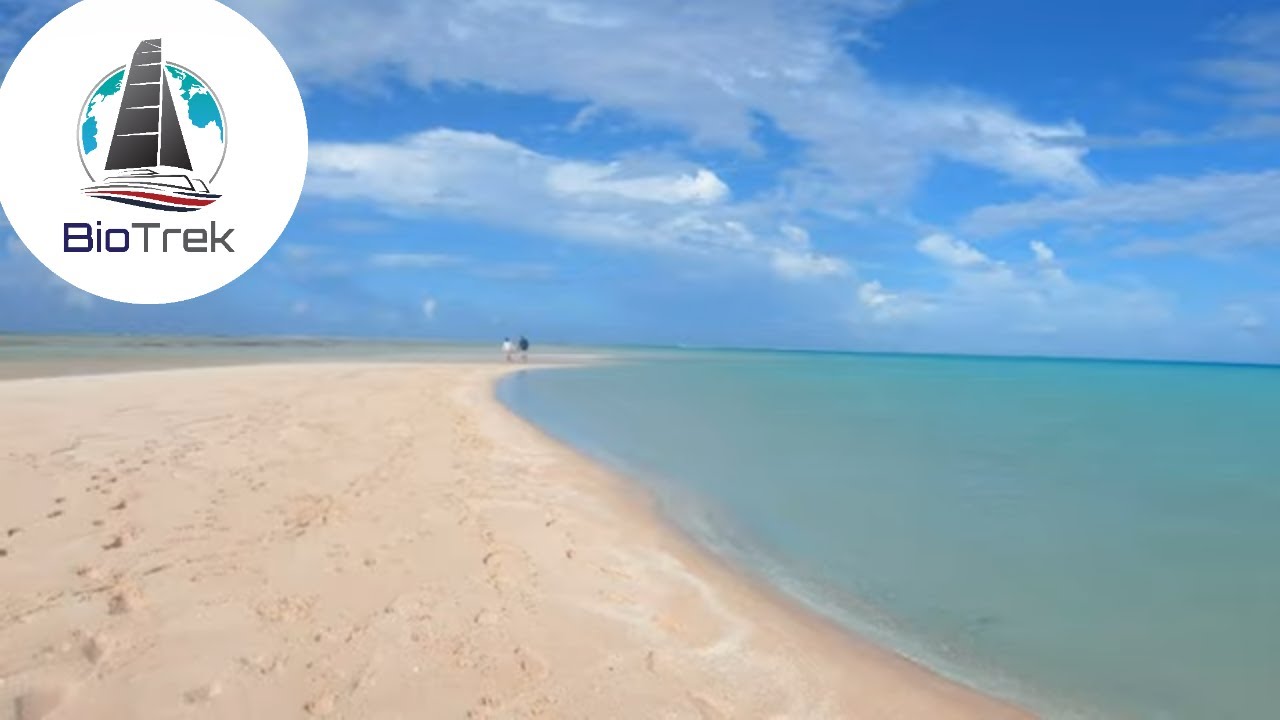 SAILING FAST! Gambier to Tuamotus. Ep 109