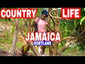 LIFE IN PORTLAND JAMAICA - PART 1