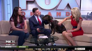 Dog Struck By Bullet Recovering, Visits Good Day Xtra Studio