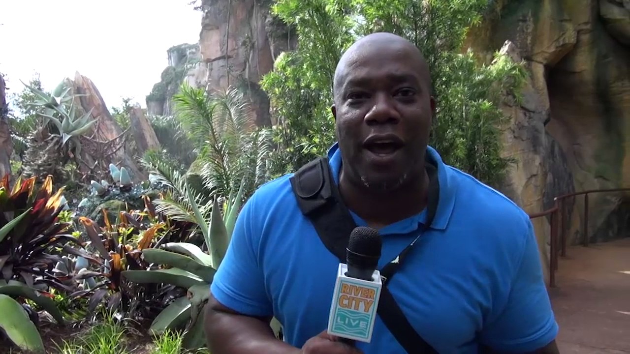 Pandora Attractions