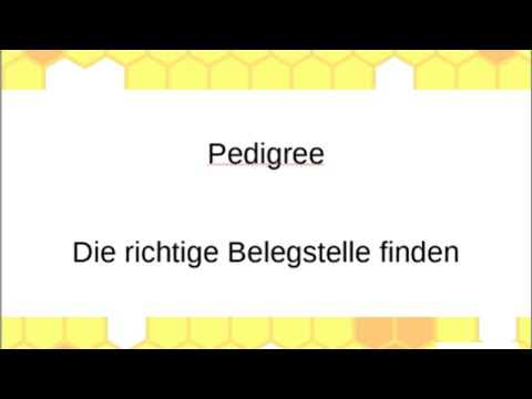 Pedigree - Die richtige Belegstelle finden